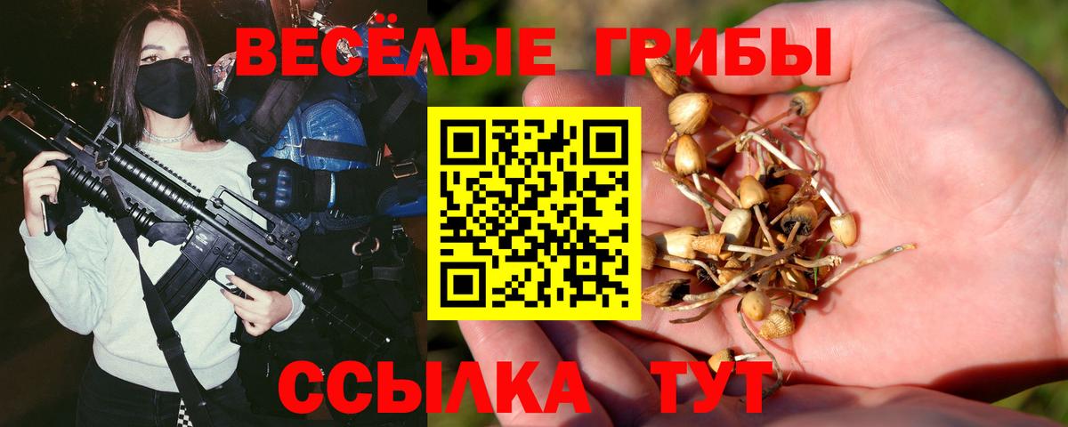 Псилоцибиновые грибы ЛСД Кировск