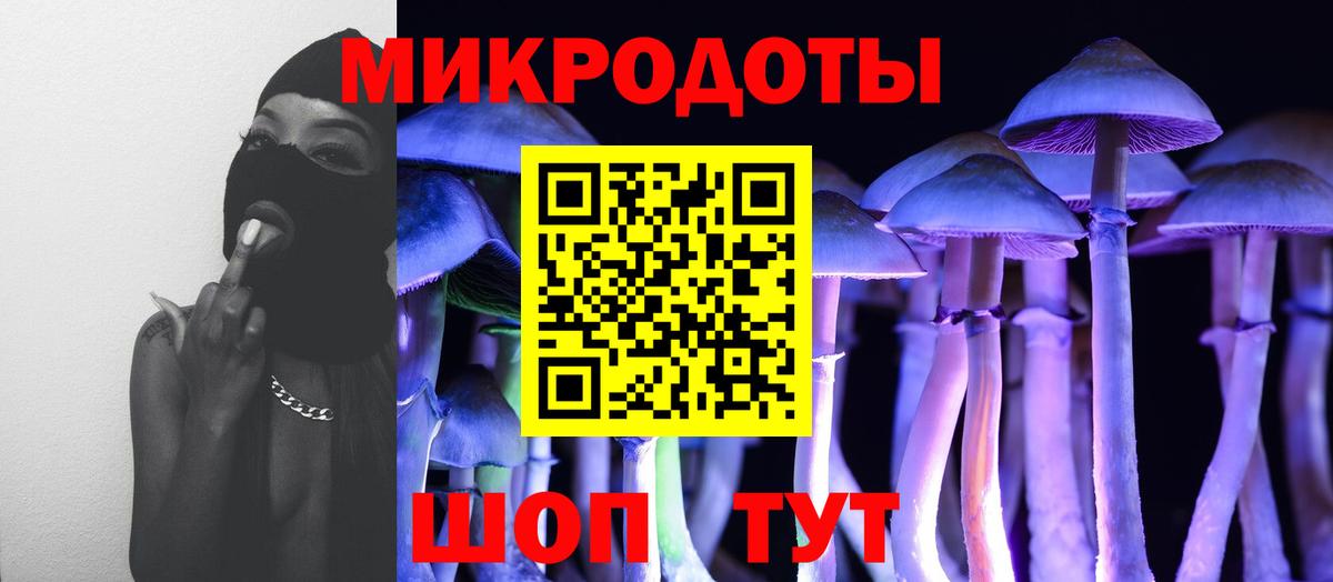 Псилоцибиновые грибы Psilocybe  Вход с VPN  Кировск  Псилоцибиновые грибы Magic Shrooms 